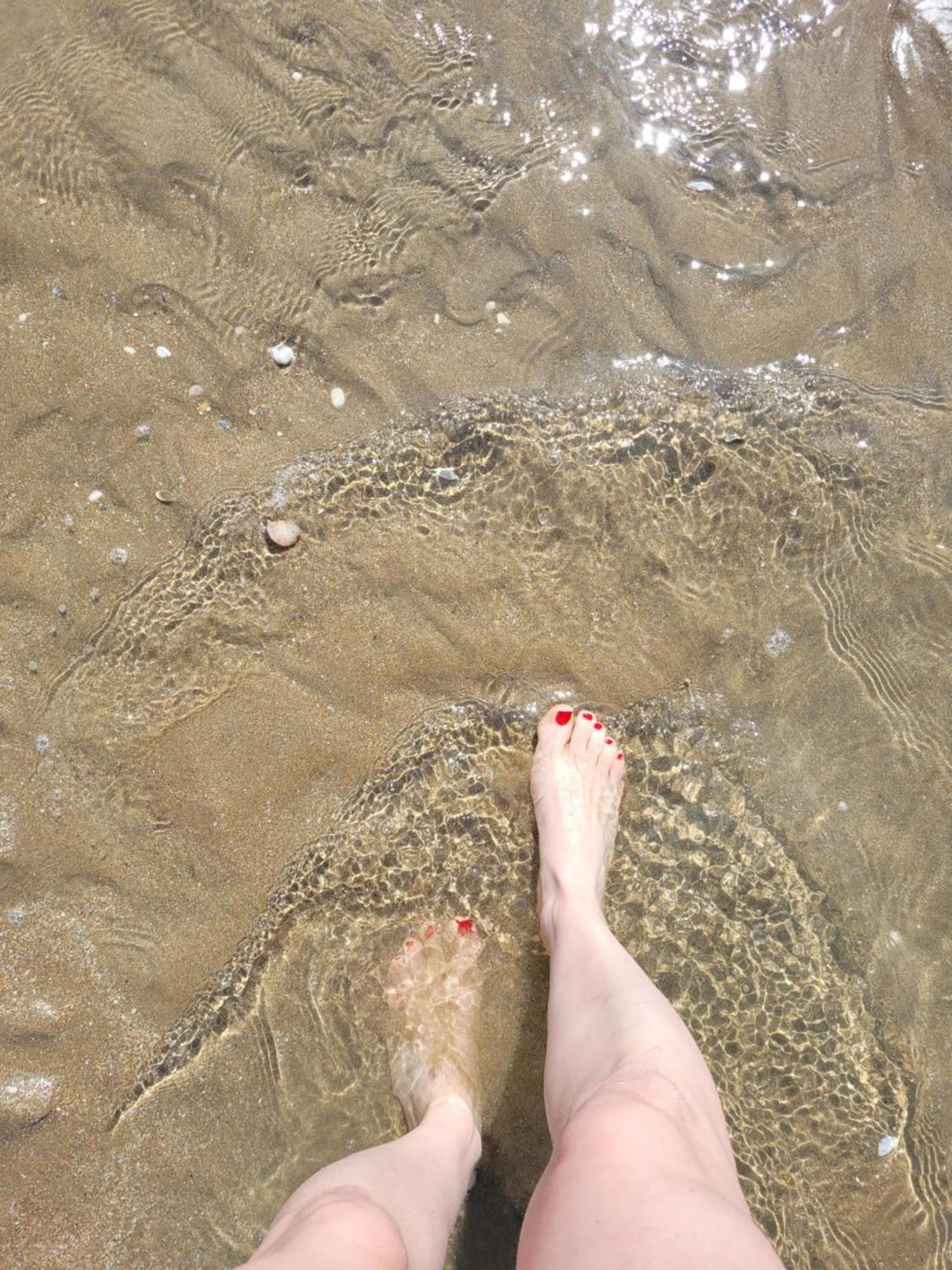 M2M Studio Magnifique Vue Mer - Avec Balcon - Les Pieds Dans L Eau! Blonville-sur-Mer Eksteriør billede